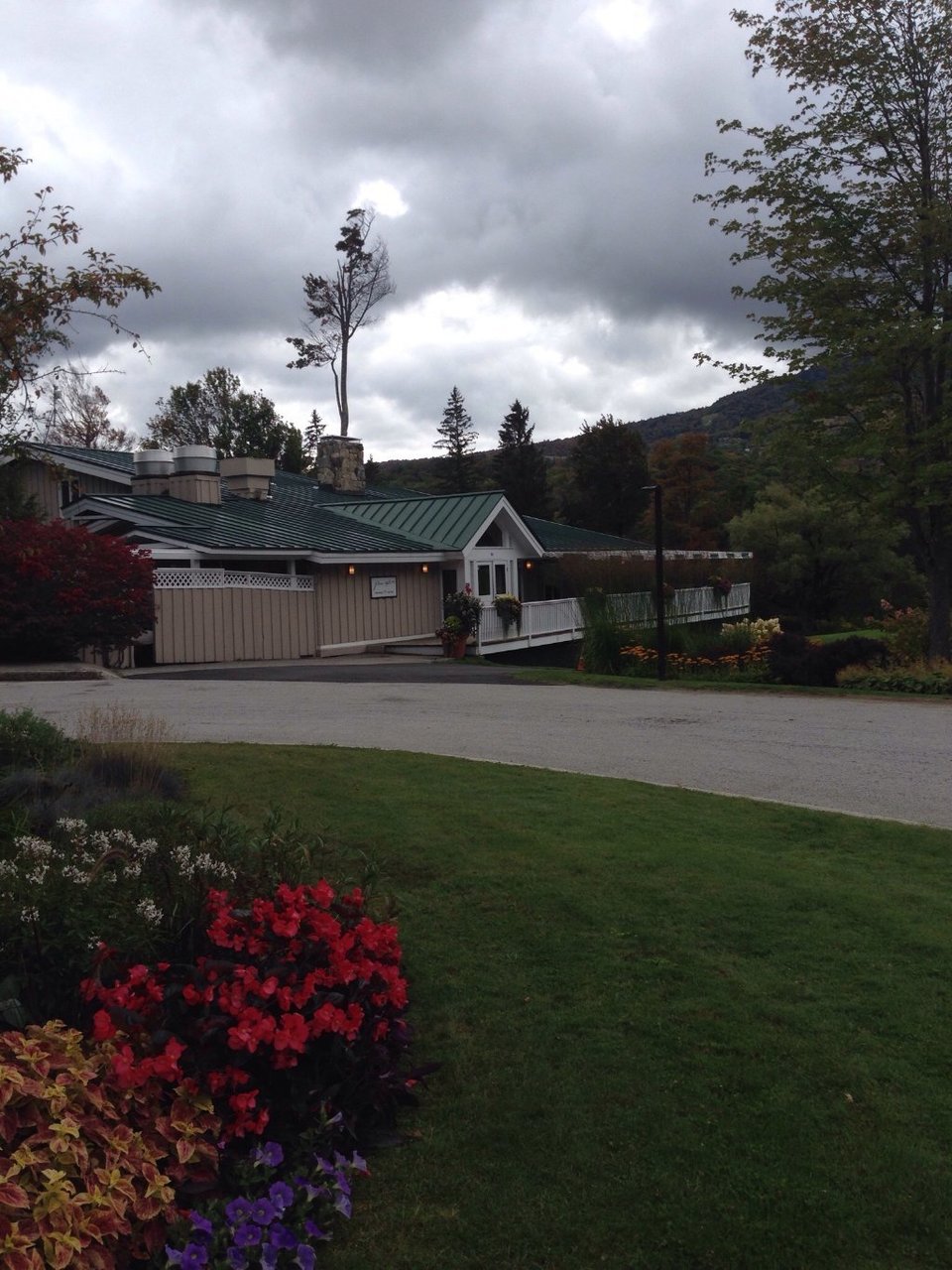 Green Apron, Stratton Mountain Access Road 05155